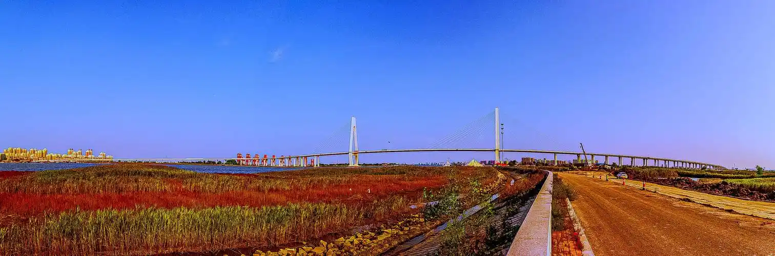 营口辽河大桥        张洪福摄