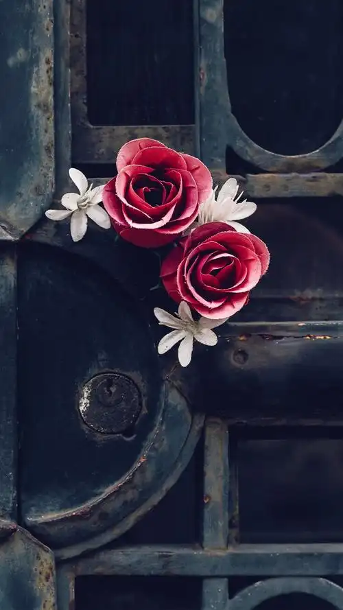 门,玫瑰,生锈 1125x2436 iphone xs/x 壁纸,图片,背景,照片