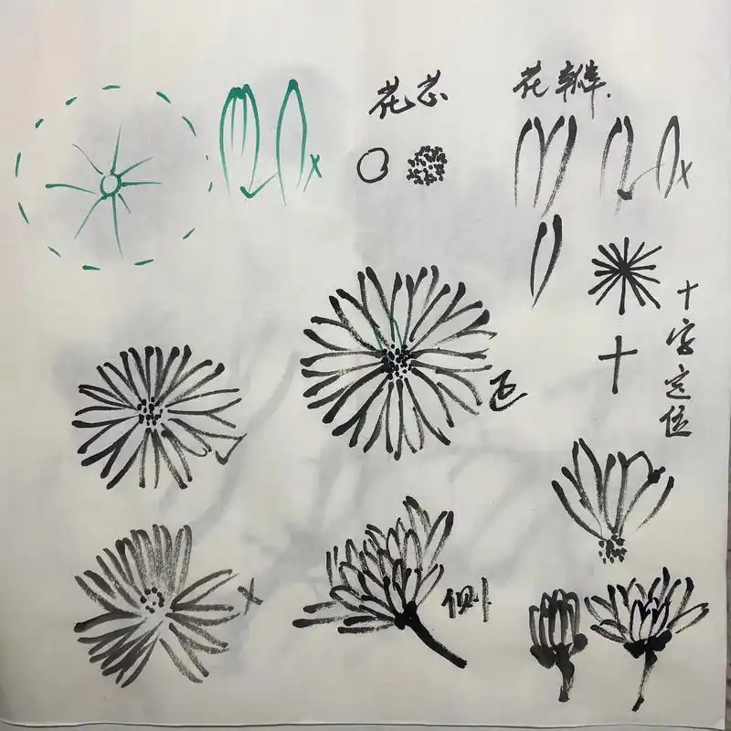 菊花画法笔记.我很快就能直播喽!#儿童国画 - 抖音