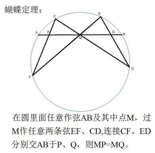 蝴蝶舞蹁跹,一舞三百年!
