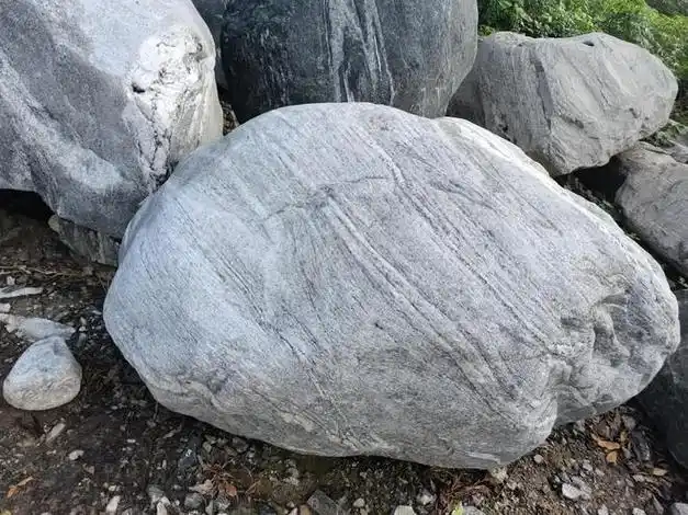 泰山石的点缀,添了几分古朴与自然的韵味