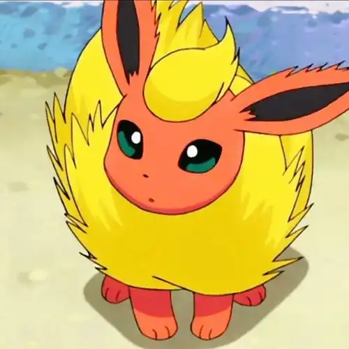 精灵宝可梦 火伊布