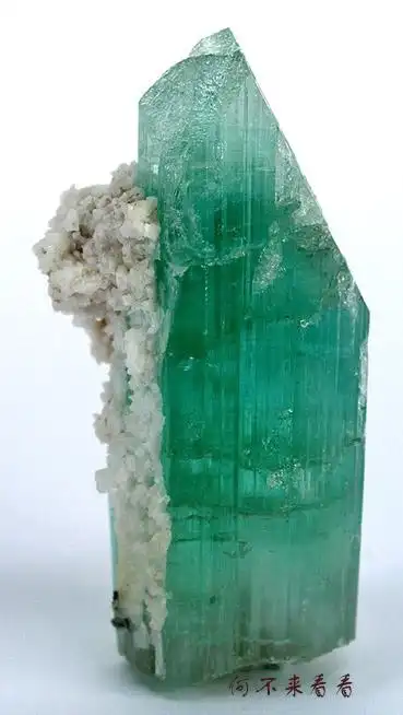 国际矿物标本流行趋势(30)——锂电气石(elbaite)