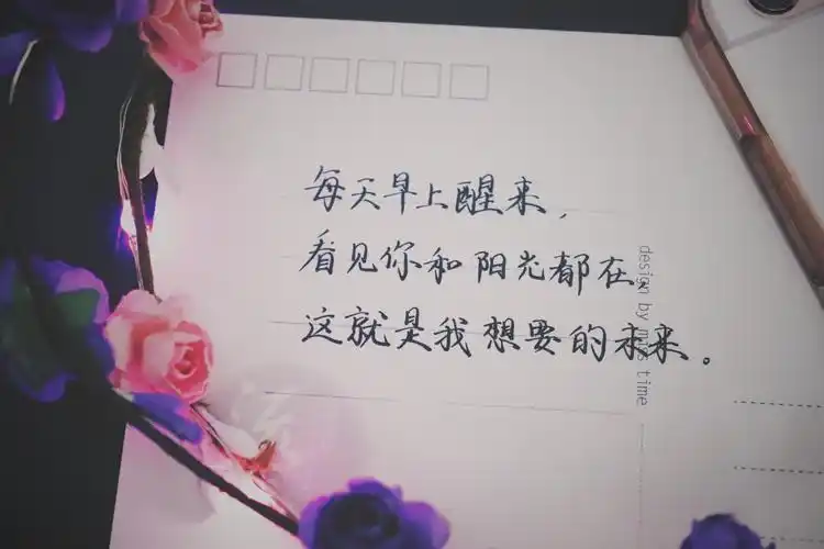 居居给爱人的手写情话