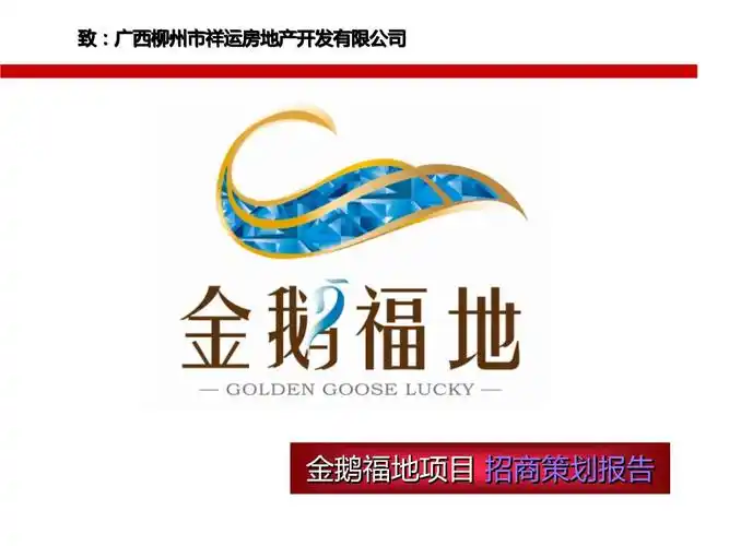 某房地产项目招商策划报告.ppt