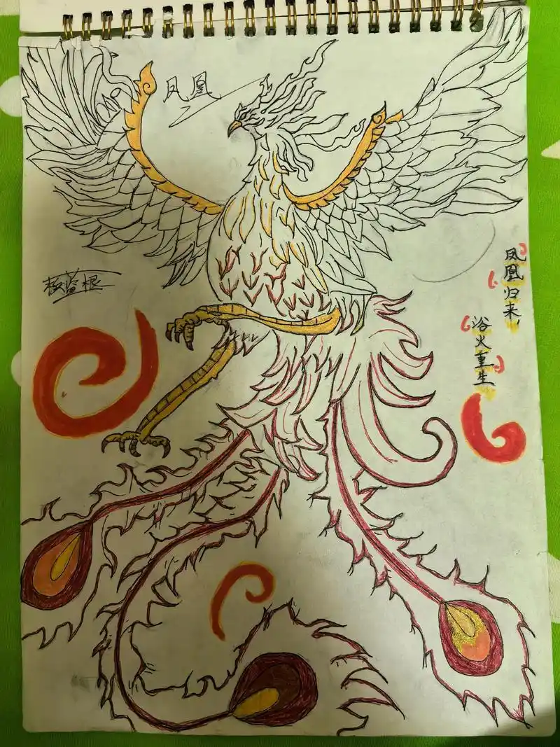 画师名叫板蓝根,自学成才!#爱画画的男孩 #原创手绘