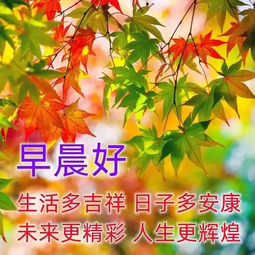 很好看的早上好温馨祝福语录图片 4月初清晨问候大家早上好的漂亮图片