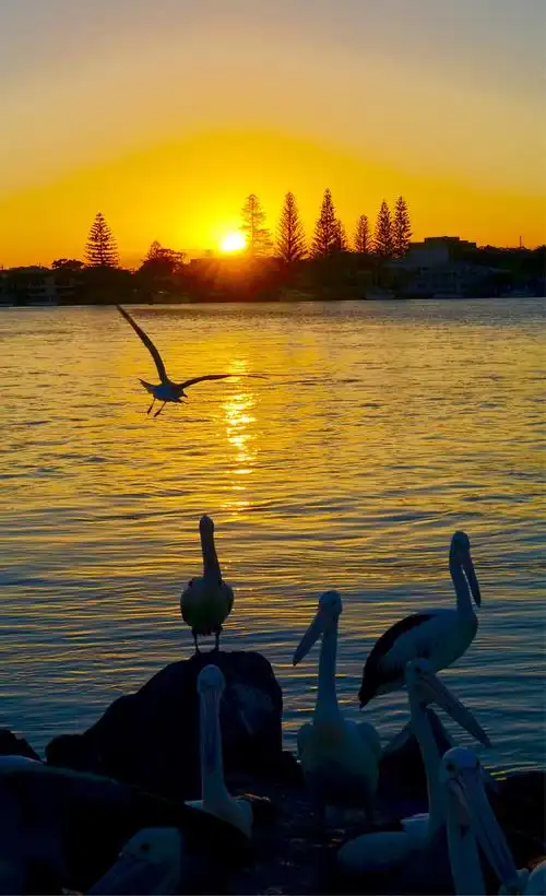 骄阳红似火,彩霞铺满天.