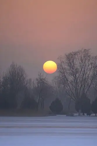 雪后冬阳这就是早上89点的太阳