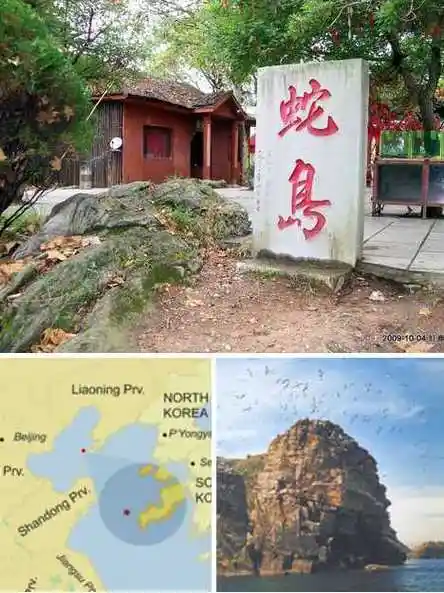 迷雾重重探秘全球七座神秘惊悚的蛇岛