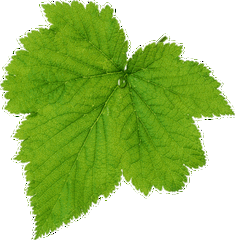 235_240gif 动态图 动图