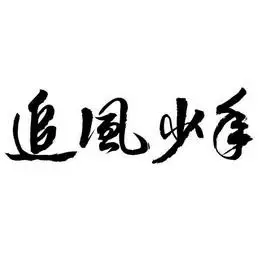 em>追风 /em>少年