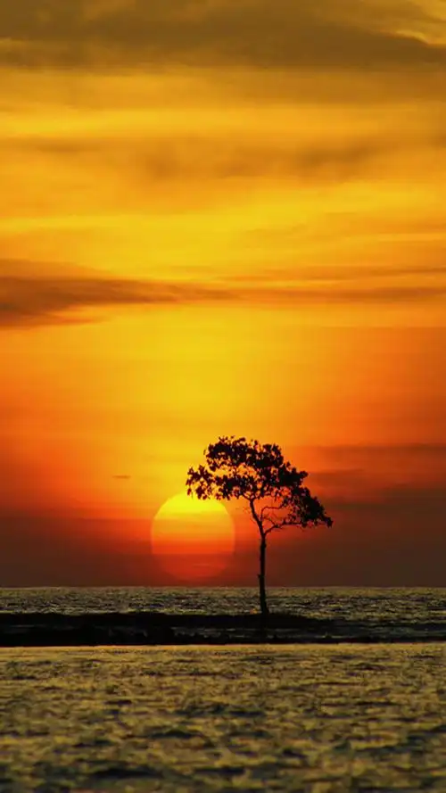 32张漂亮的自然风光微信70聊天背景图片推荐唯美自然风景手机壁纸全文