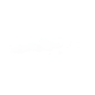 透明png图片图片大全_透明png图片图片素材【png免费下载】-90设计网