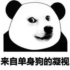 来自单身狗的凝视