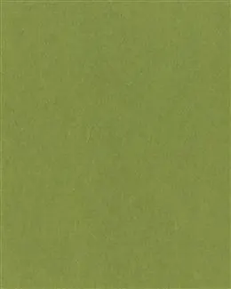 260_325竖版 竖屏