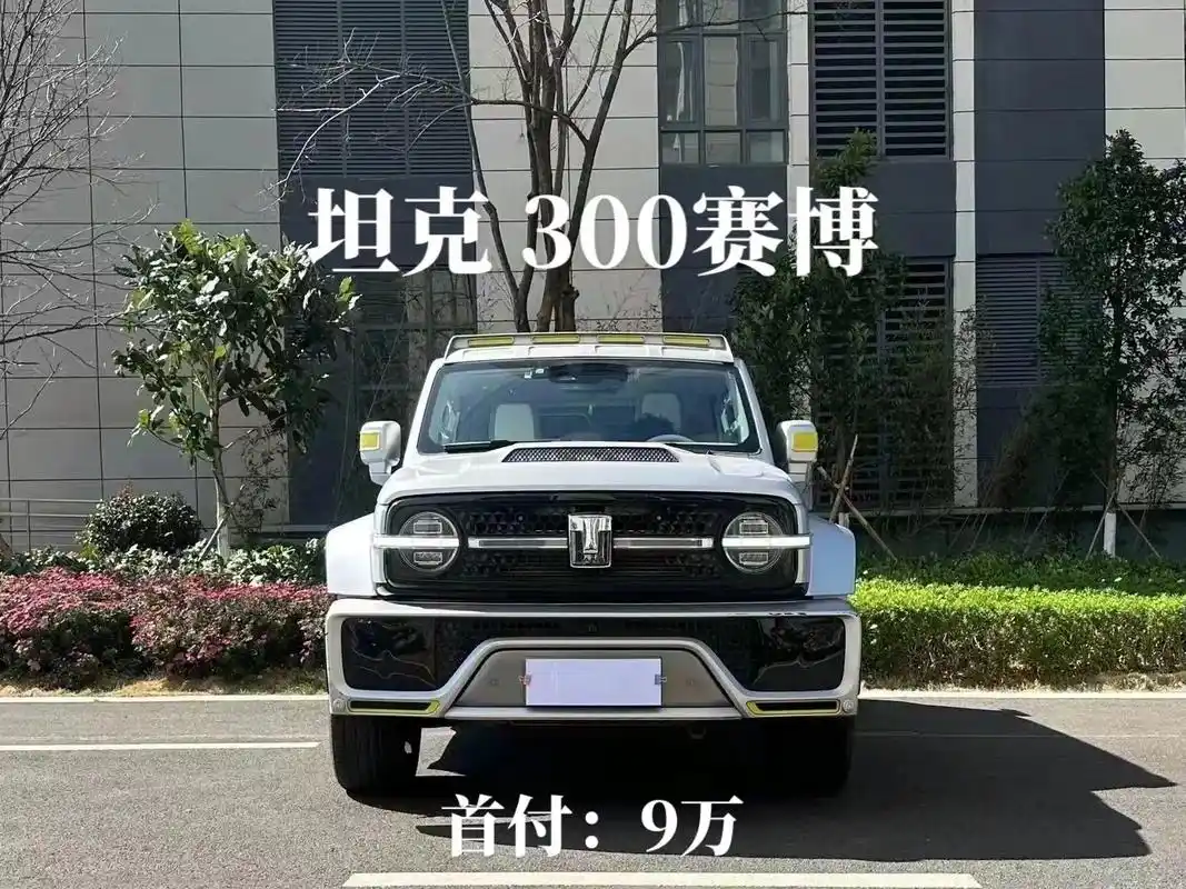 坦克300赛博