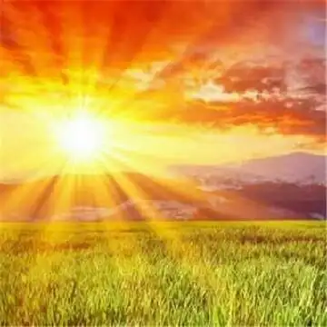 红太阳402985头像