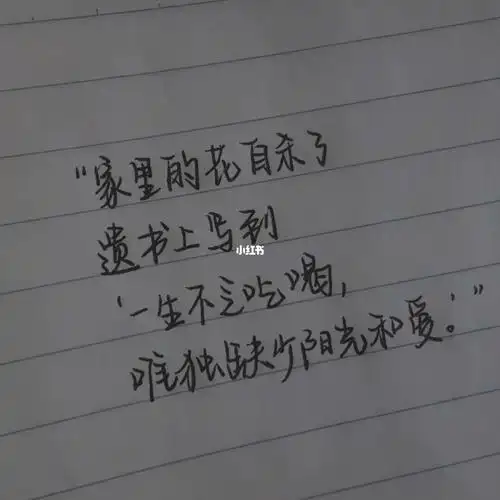 手写文案花自杀了写了遗书