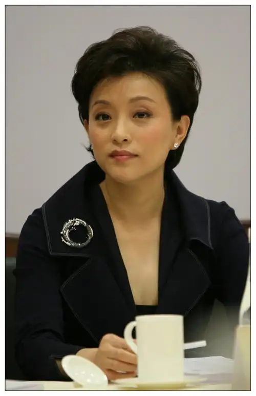 我镜头中的杨澜