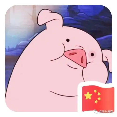 微信朋友圈国旗头像被刷屏,到底怎么回事?_网友