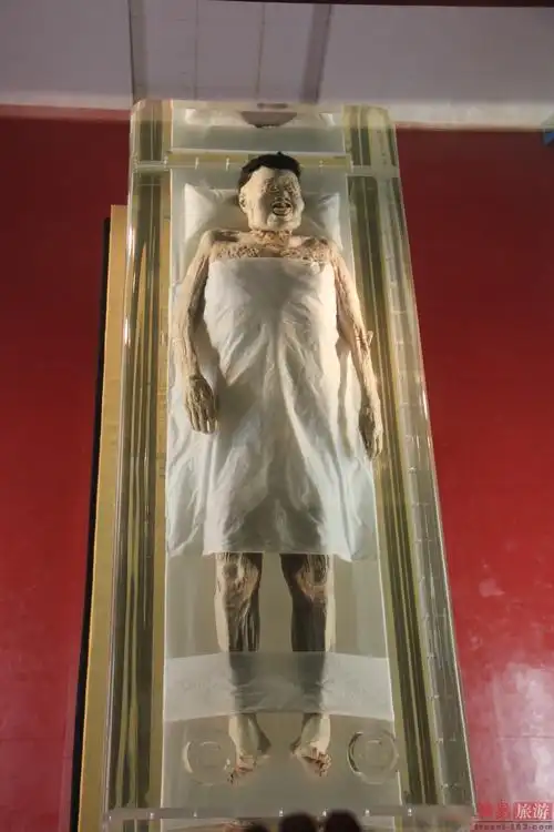 草根友人 30 # 发表于 2013-9-21 18:45   | 只看该作者   辛追夫人的