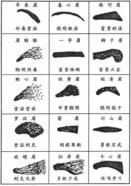 【面相】| 论眉毛凶相