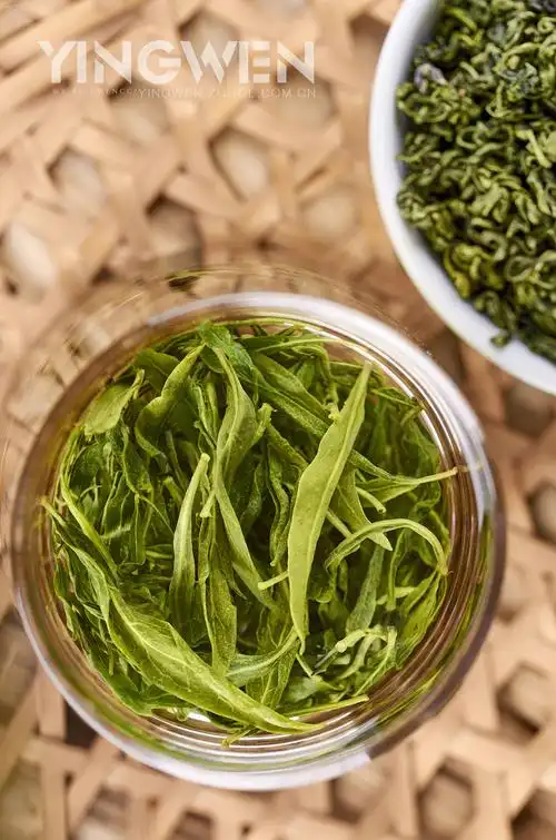 枸杞芽叶茶摄影