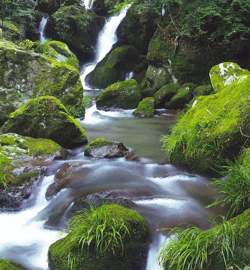 710_765gif 动态图 动图