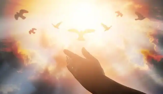 赞美诗歌恩典的记号歌词歌谱(赞美诗歌恩典的记号歌词歌谱)