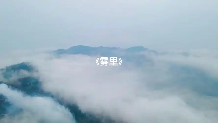 雾里mv热门车载音乐宝藏音乐推荐