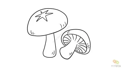教你画香菇简笔画