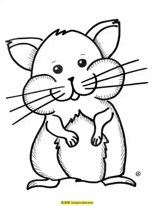 6张宠物小老鼠小仓鼠卡通手绘儿童简笔画