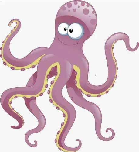可爱的章鱼