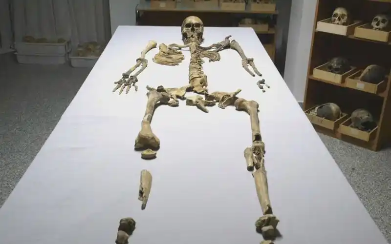 木乃伊复活:古城英雄.s01.2015[片头][高清][英字]