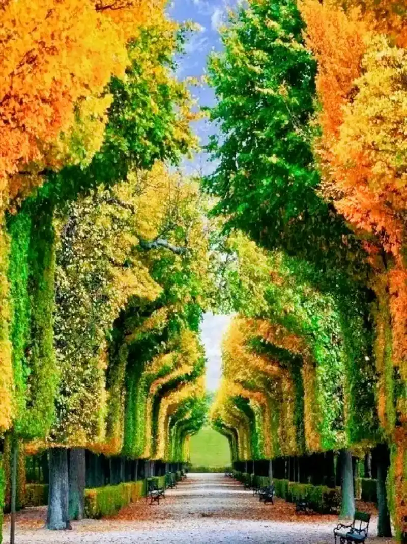 唯美意境 #漫漫人生路,我和你一起走.真正感人的爱情,就是 - 抖音