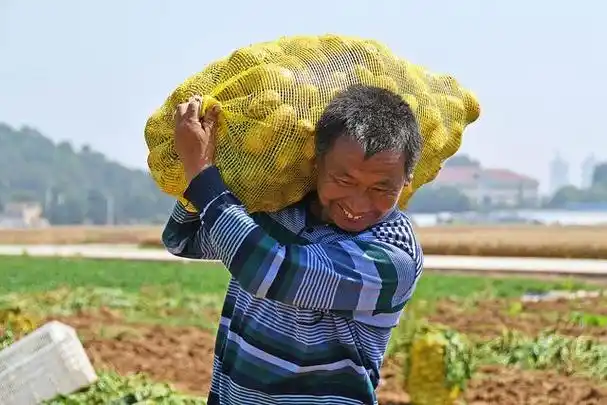 农村七老八十的老人为什么还在种地干活