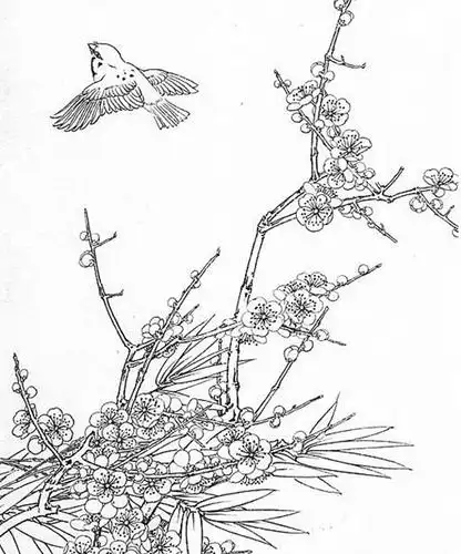 宋代工笔花鸟画白描图片