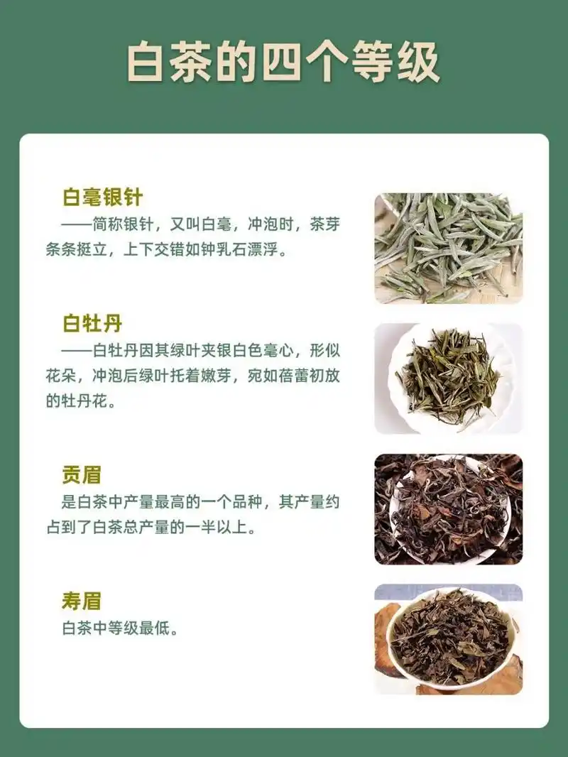 白茶的四个等级你了解吗?