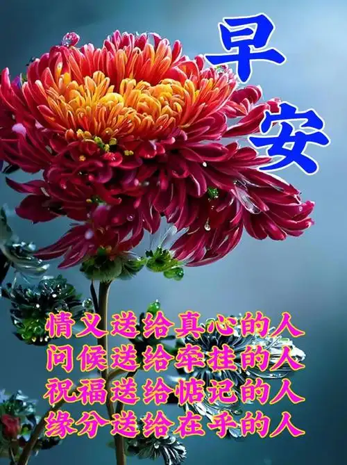 4月17日周一早上好,新的一周,新的开始,温馨唯美早安祝福图片问候语