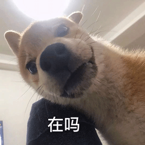 表情搜索微信小程序:表情搜索抖音top | 表情 | 壁纸 | 情头记得告诉