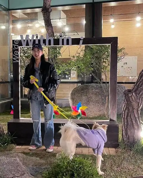 金高银近日ins更新 日常生活照都充满了温柔舒服的感觉