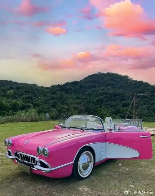 朋克复古风好适合拍照92  等我几年  攒够了就开着你去兜风  #汽车