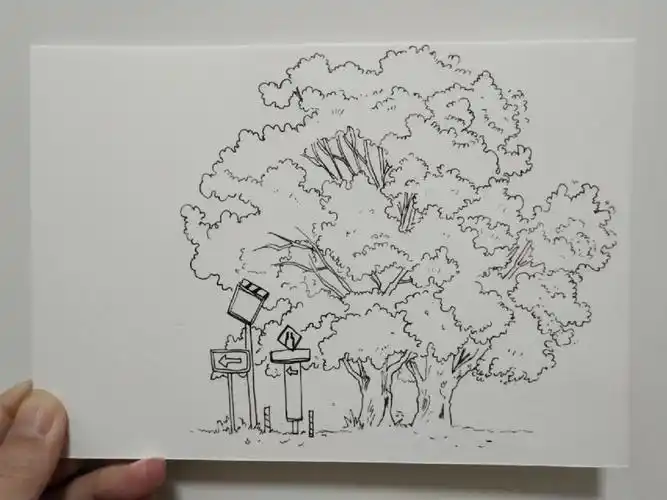 临摹遇见echo的钢笔淡彩-树