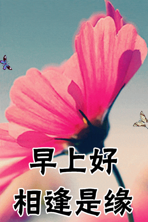 1月新版朋友圈早安问候语配图片,2021微信唯美早晨好图片大全