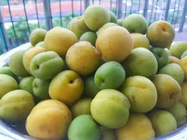 酸梅洗净捞出,沥水晾干