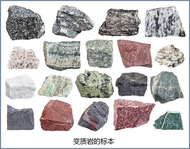 沉积岩有哪些(沉积岩有哪些岩石)