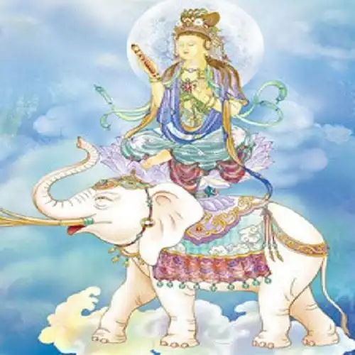 属蛇本命佛普贤菩萨