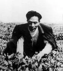 原创1962年焦裕禄去兰考任职作为县委书记他为了老百姓竟出去讨饭