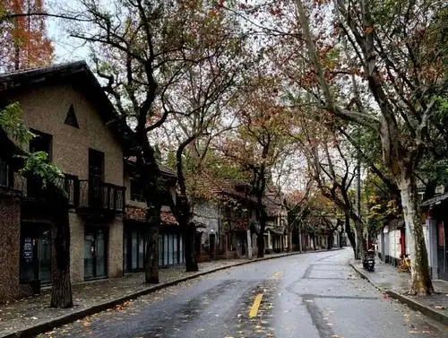 上海最具情调的街道!落叶不扫的衡山路,情侣浪漫圣诞好去处|衡山路|衡